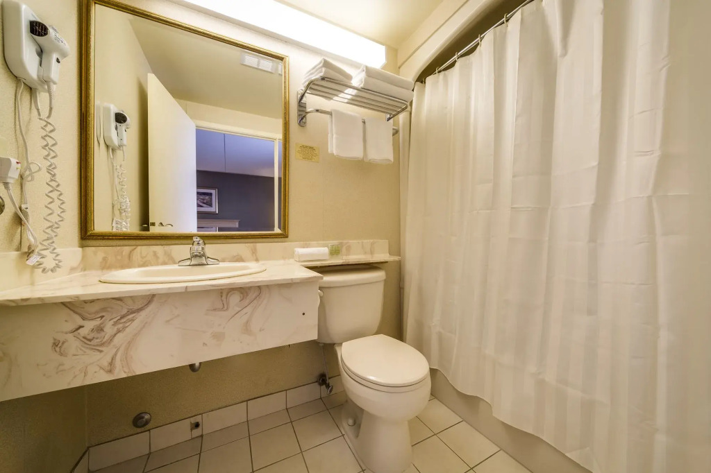 Monte Carlo Inn Markham