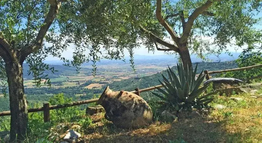 Villa Del Sole