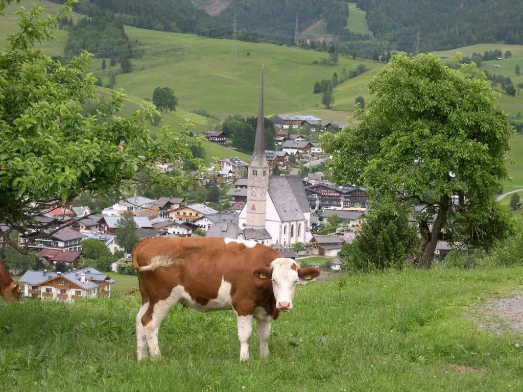 Feriennest Leitner