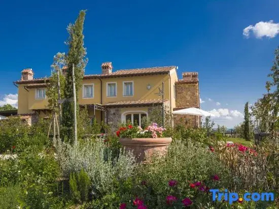 Luxury Home in Tuscany Near Pisa and Florence - Two Bedrooms 4&1 PL