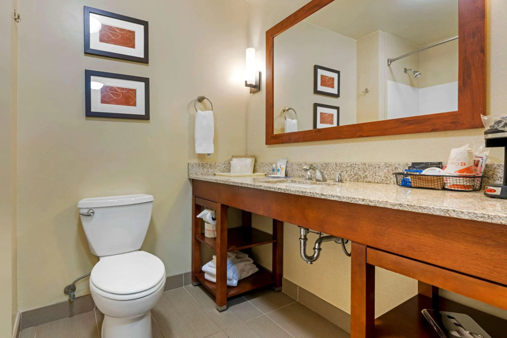 Comfort Suites Redding - Shasta Lake