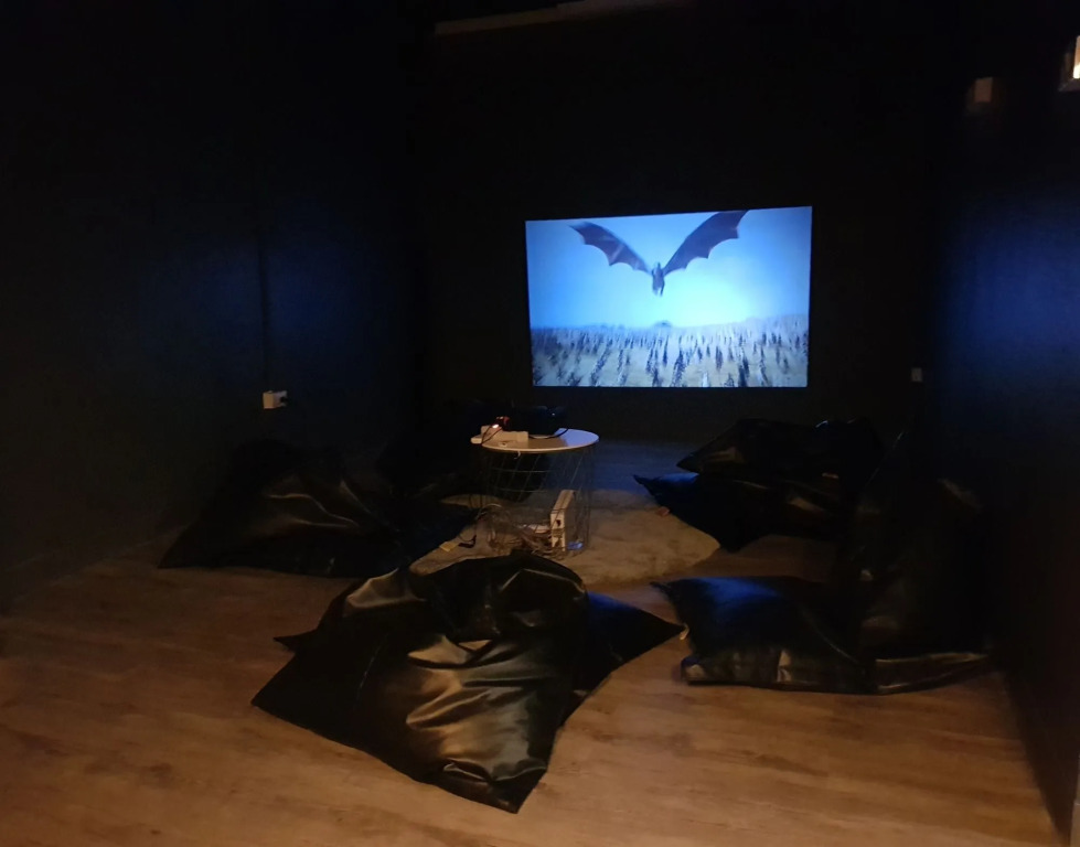 The Cocoon Hostel