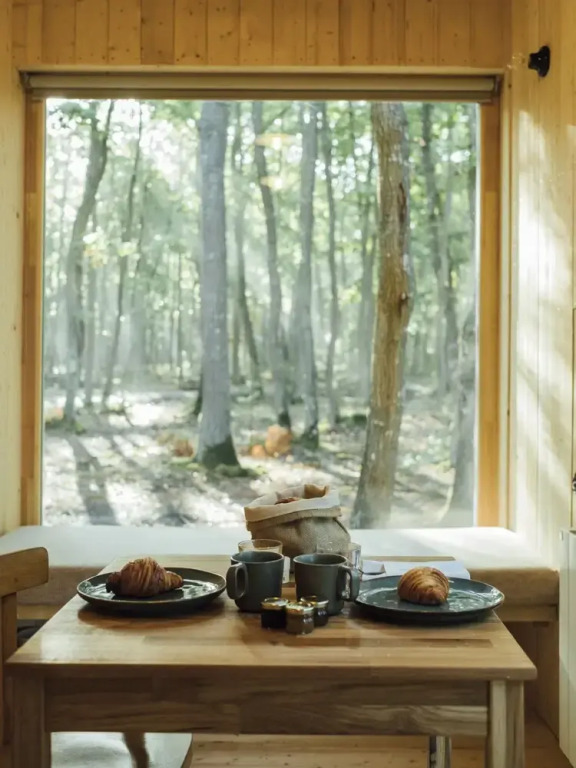 Youza ecolodge cabanes dans les arbres