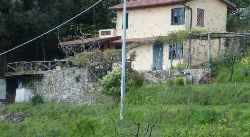 Rustico Leccio