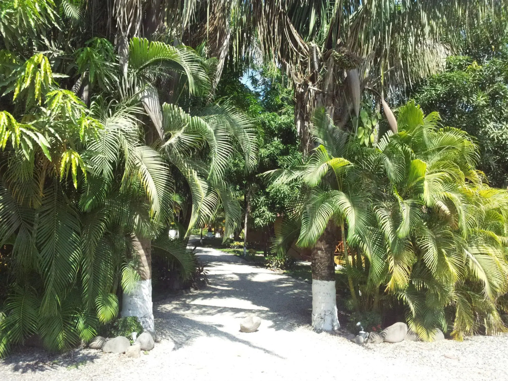 Esencia Hotel and Villas
