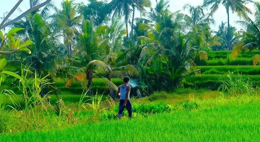 Bali Suksma Villa