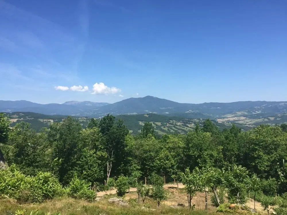 Il Casolare Bioenergetico