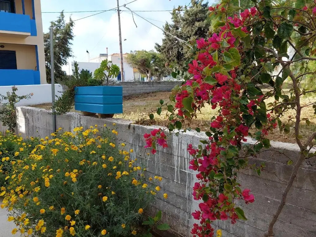 Bahia- apartment by the sea,close to cedar forest!