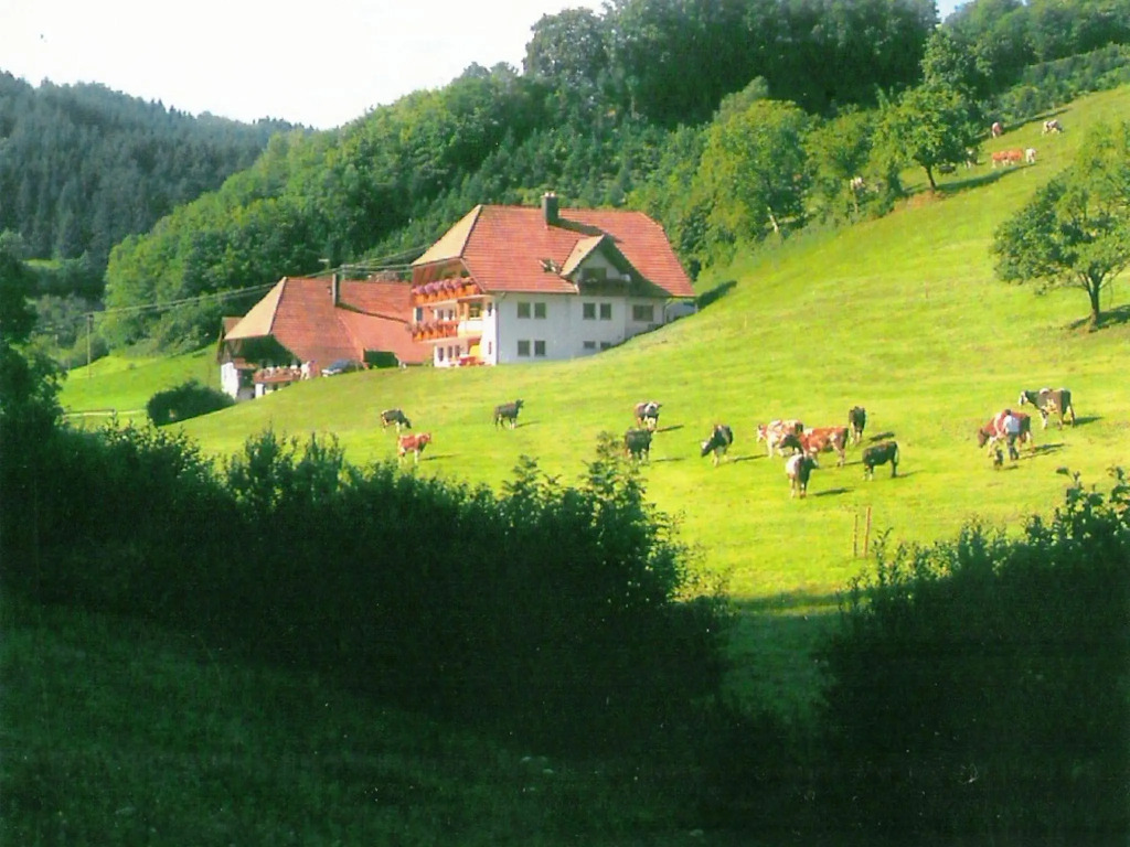 Comfy Apartment in Salmensbach near River