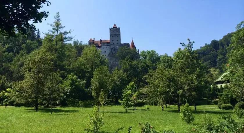 Pensiunea Pinul