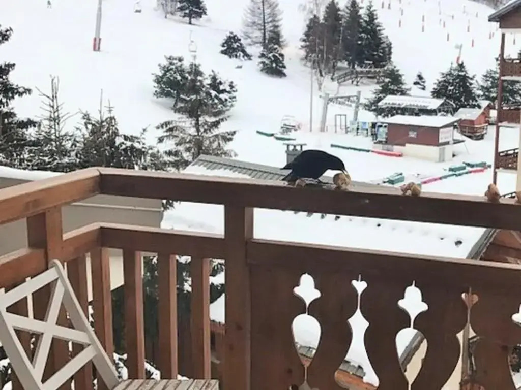 Appartement Les Deux Alpes, 3 pièces, 8 personnes - FR-1-516-102