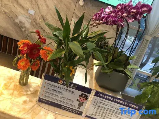 Shanjiang Holiday Hotel (Mianyang Shengshui Temple)
