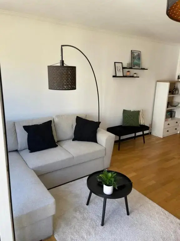 Appartement place Léopold 1er à la panne à 100m de la plage