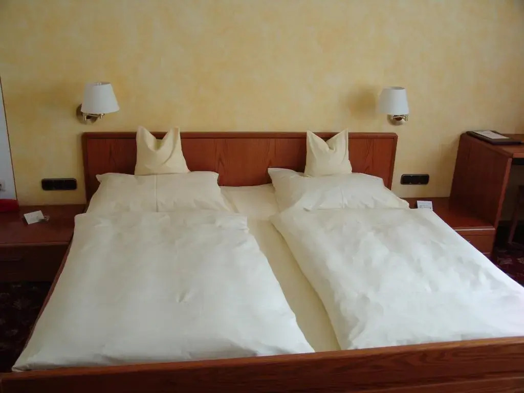 Goldener Schwan Hotel Garni