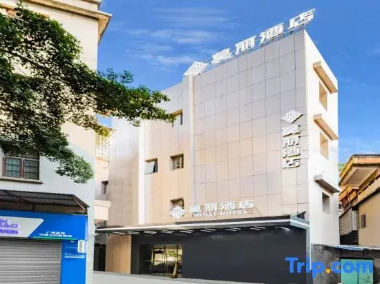 Moli Hotel