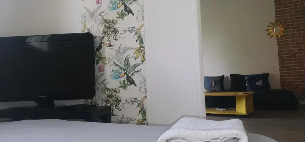 TOULOUSE appartement avec chambre séparée/Métro/Piscine