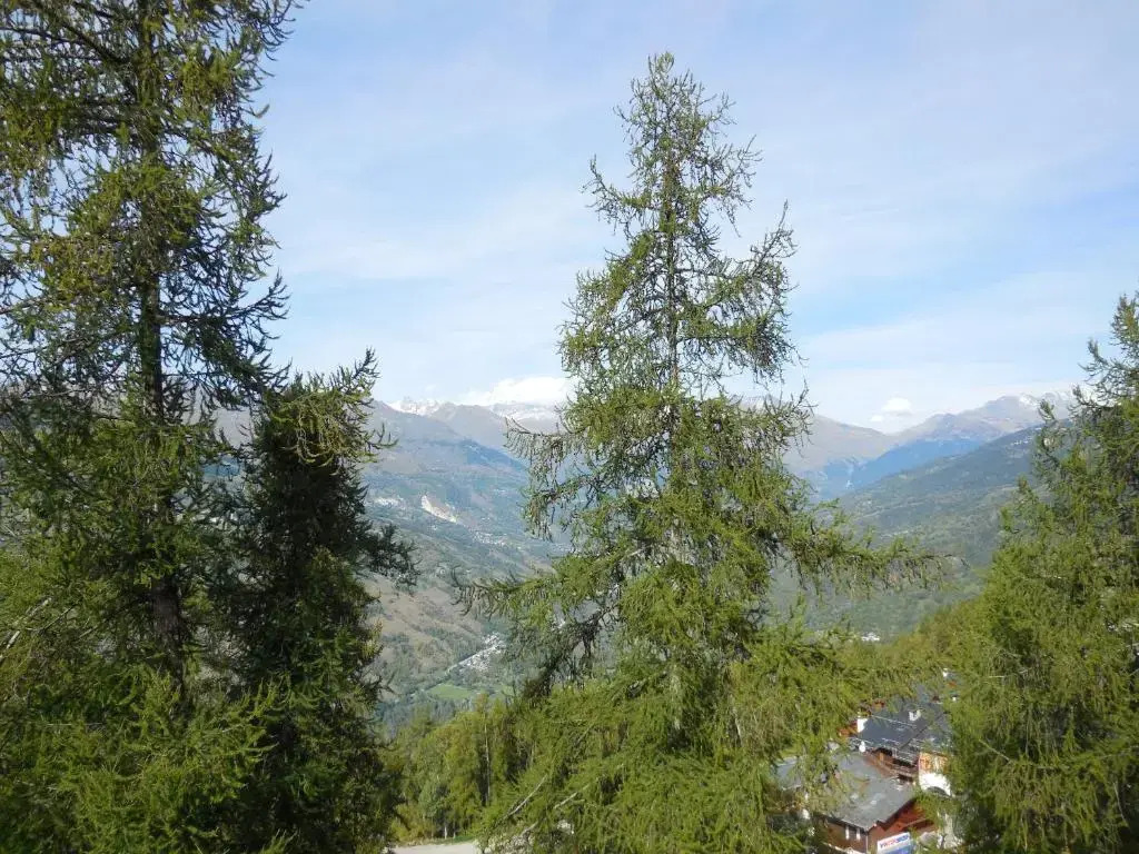 Appartement La Plagne, 1 pièce, 4 personnes - FR-1-353-74