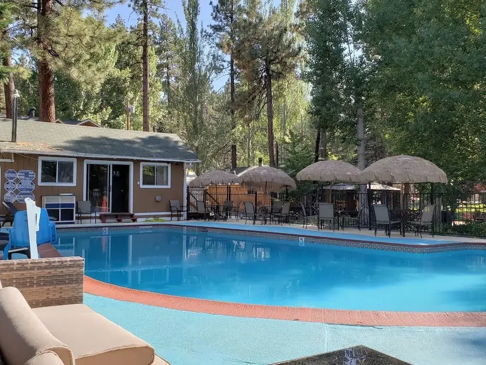 Grey Squirrel Resort