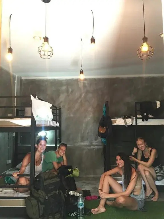 A Forest Story Hostel  Adults Only