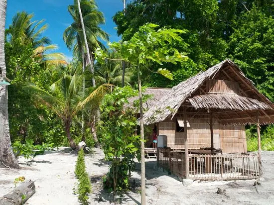 Raja Ampat Diva Homestay