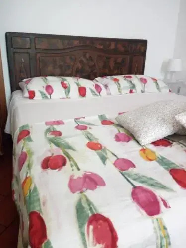 Casa Elefante