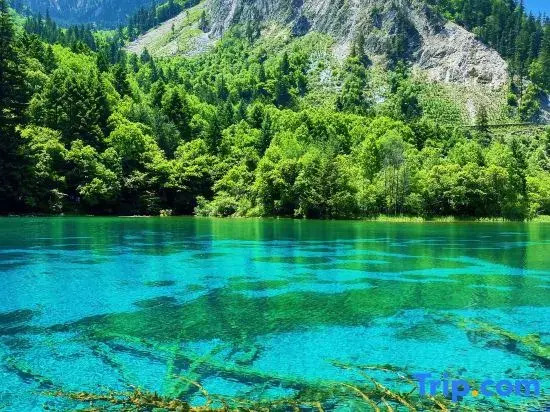 Jiuzhaigou Jianshan Shishan Garden Beautiful Homestay