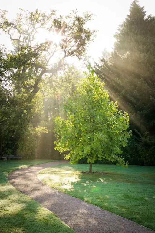 Woodbrooke Quaker Study Centre