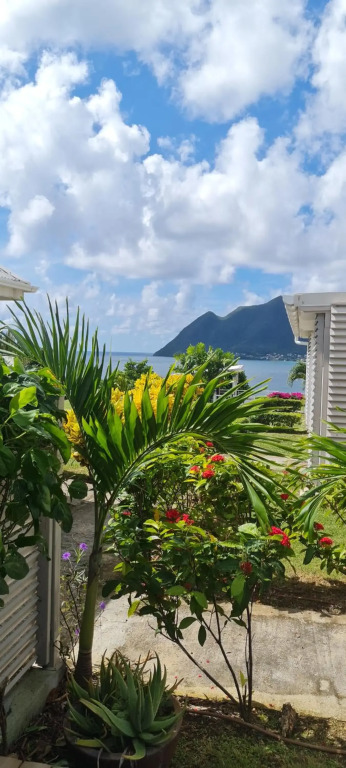 studio cosi, jardin privé, vue magique depuis piscine à débordement de la résidence