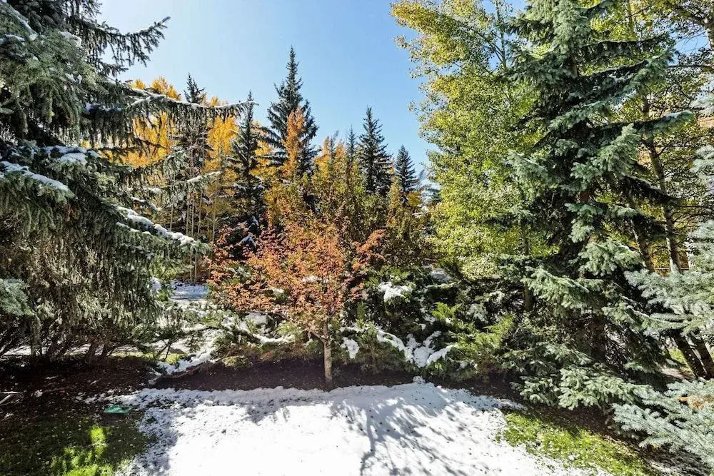 Villas of Aspen by Snowmass Vacations