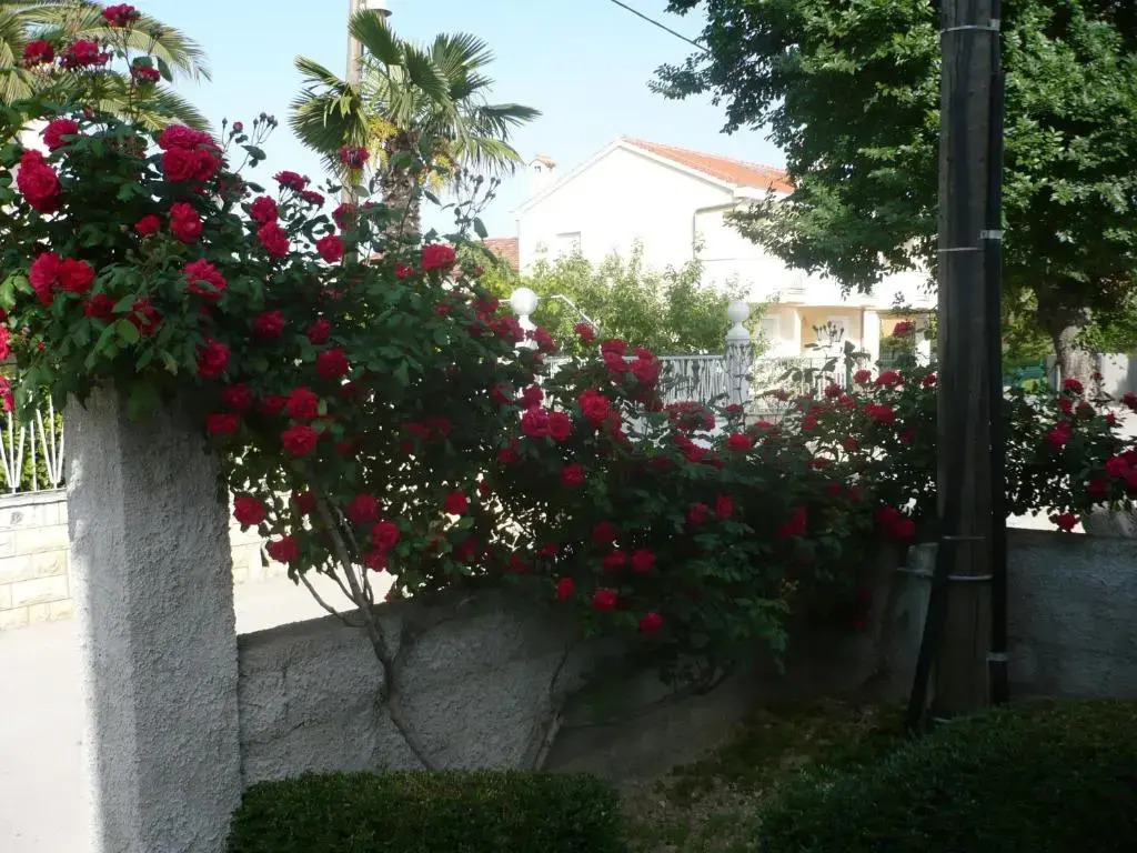 Rose Apartment