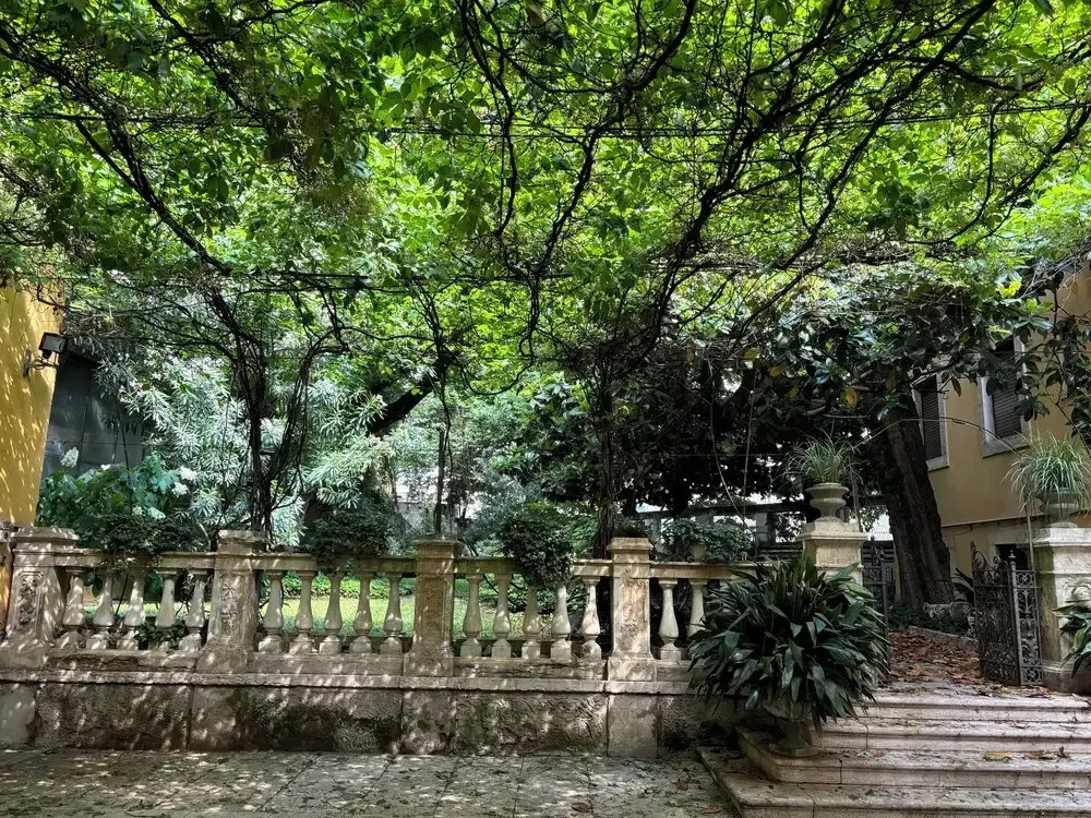 Casa Magnolia
