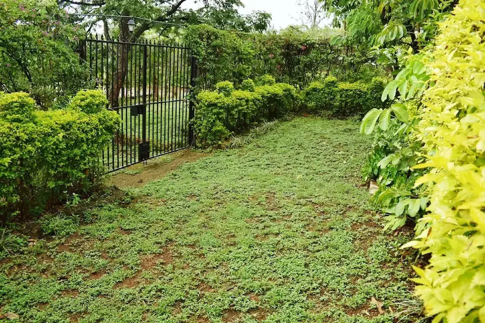 Ose Cottages