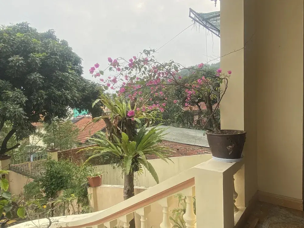 Kims Homestay & Villa