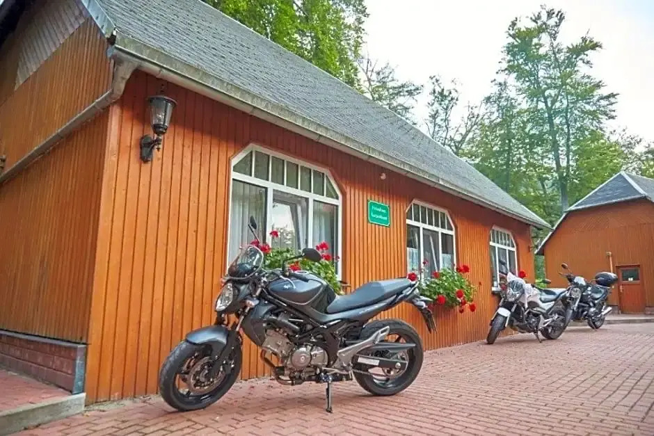 Kurpark Hotel Im Ilsetal