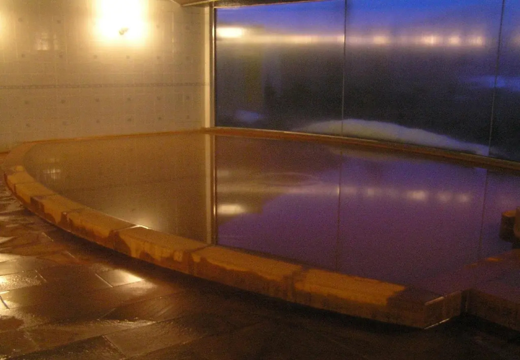 Nari Aizu Lodge