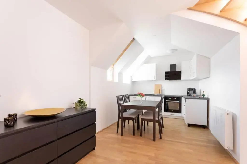 Penthouse near Schoenbrunn with large terrace! N43