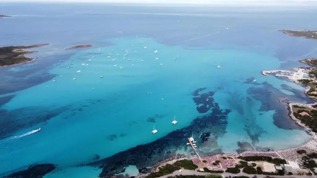 La Finestra su Stintino 2
