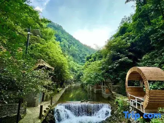 Qingyuan shan Jian Xiao Zhu Tang quan min su