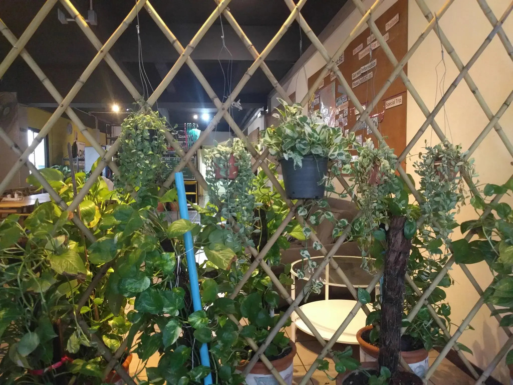 The Mixx Hostel