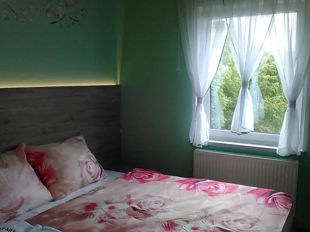 Róża Wiatrów