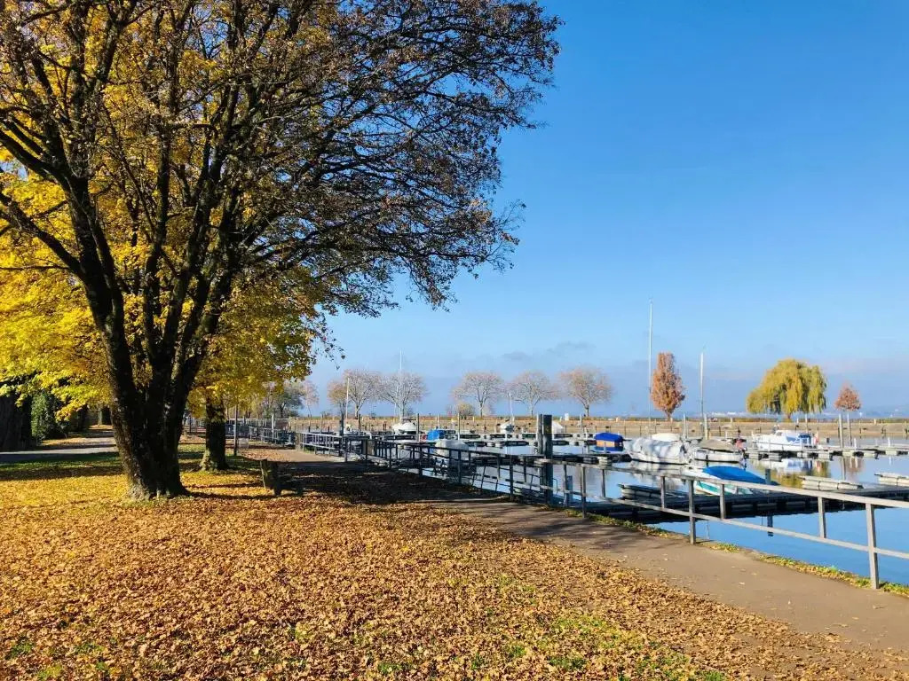 Ferienwohnung Bregenz 6 top 4