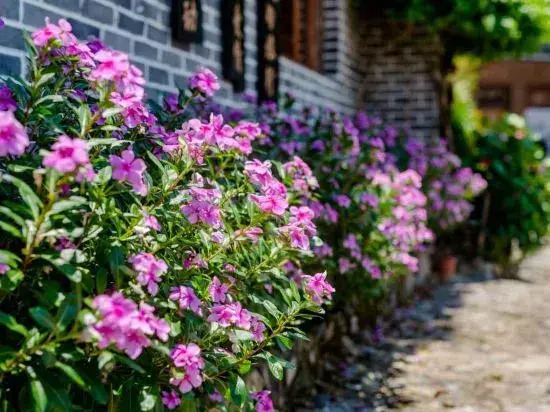 Waiting For You at Yunshuiyao Inn