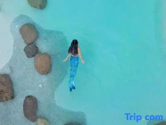 Yishe Savanna Beach Pool Resort | Wabi-sabi Beautiful Stay (OMG Heartbeat Paradise Branch)