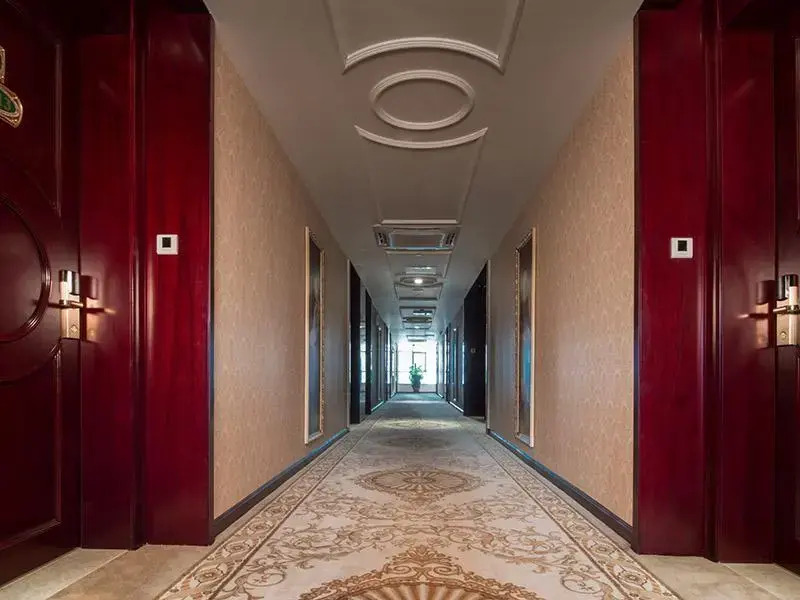 Vienna Hotel Shawan