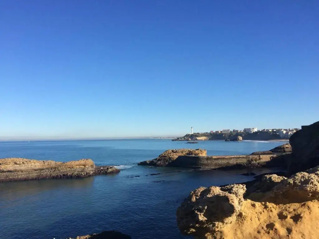 Appartement Biarritz, 2 pièces, 4 personnes - FR-1-3-474