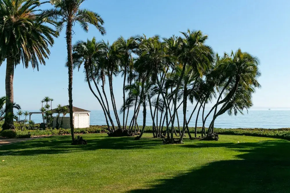 New Listing! Palatial Beachfront W/ Casita 6 Bedroom Home