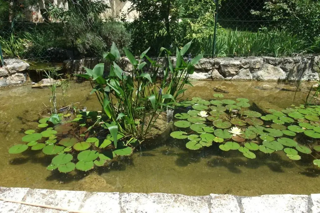 La Paillote