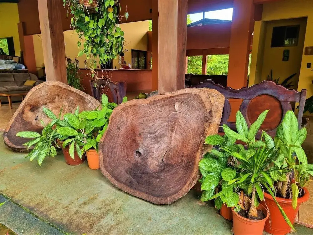 Angels Ecolodge