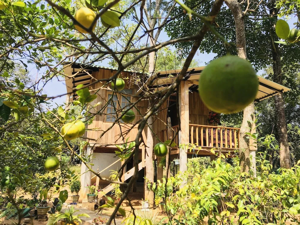 Ruk Sewana Villa Tree House