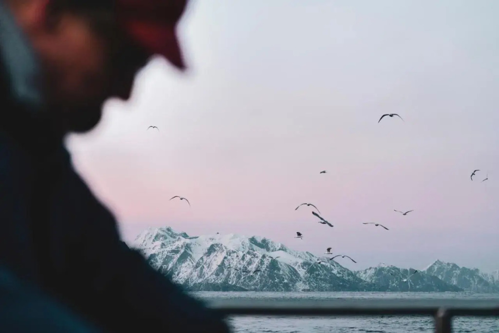 Holmen Lofoten